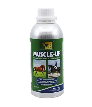 Muscle-Up 450 ml