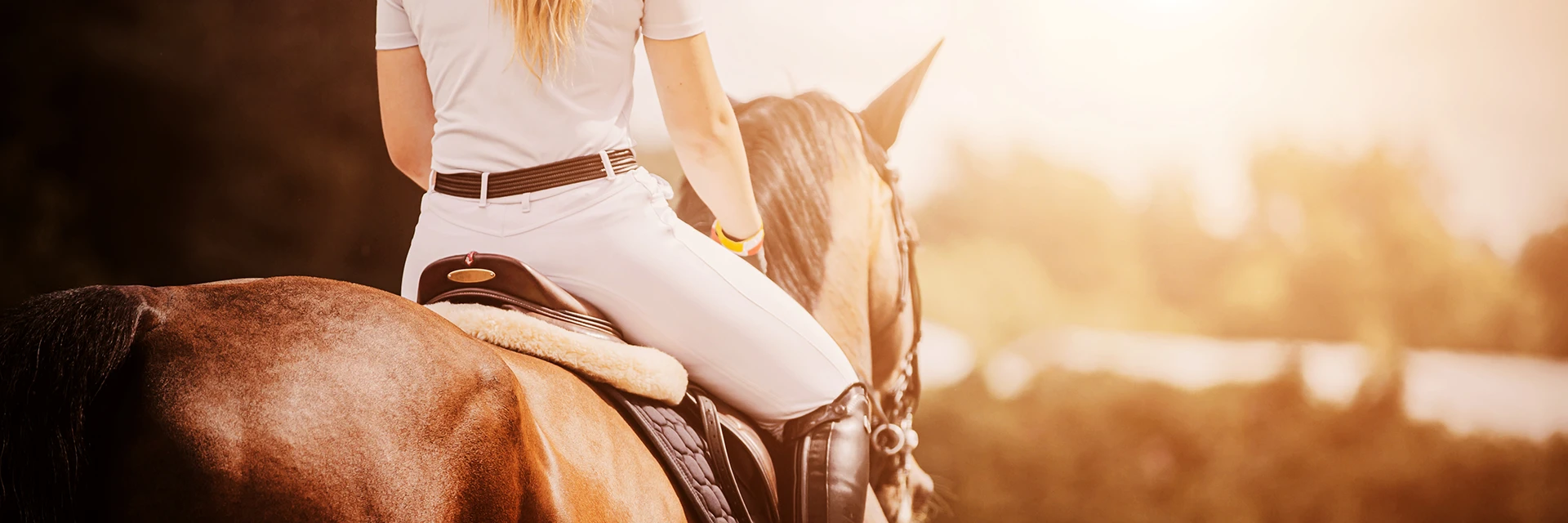 Treadworld Life with horses Se produkter