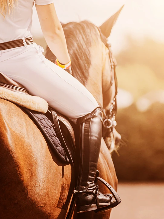 Treadworld Life with horses Se produkter