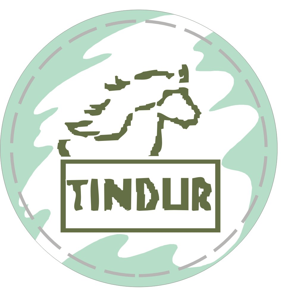 TINDUR