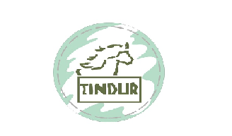TINDUR