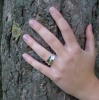Silverring spinner ring - 3