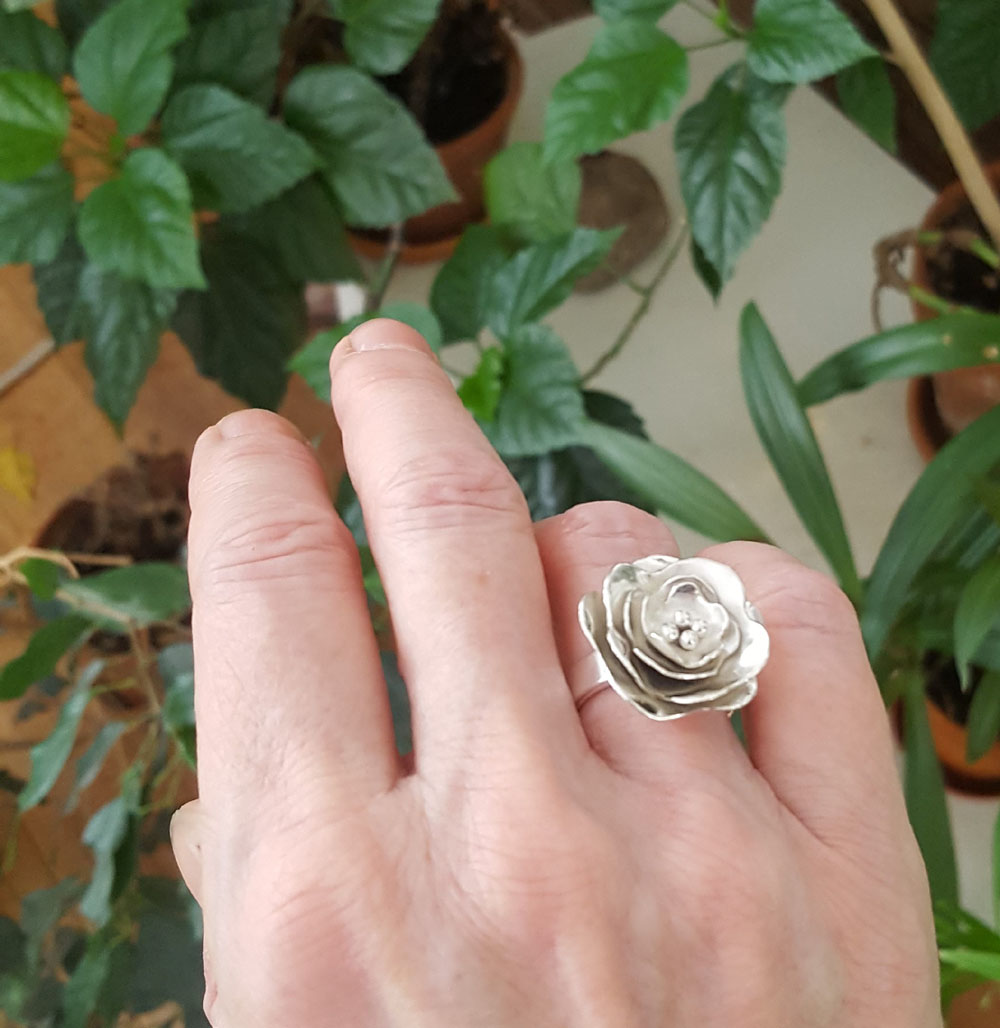 Silverring flower
