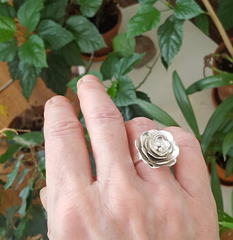 Silverring flower