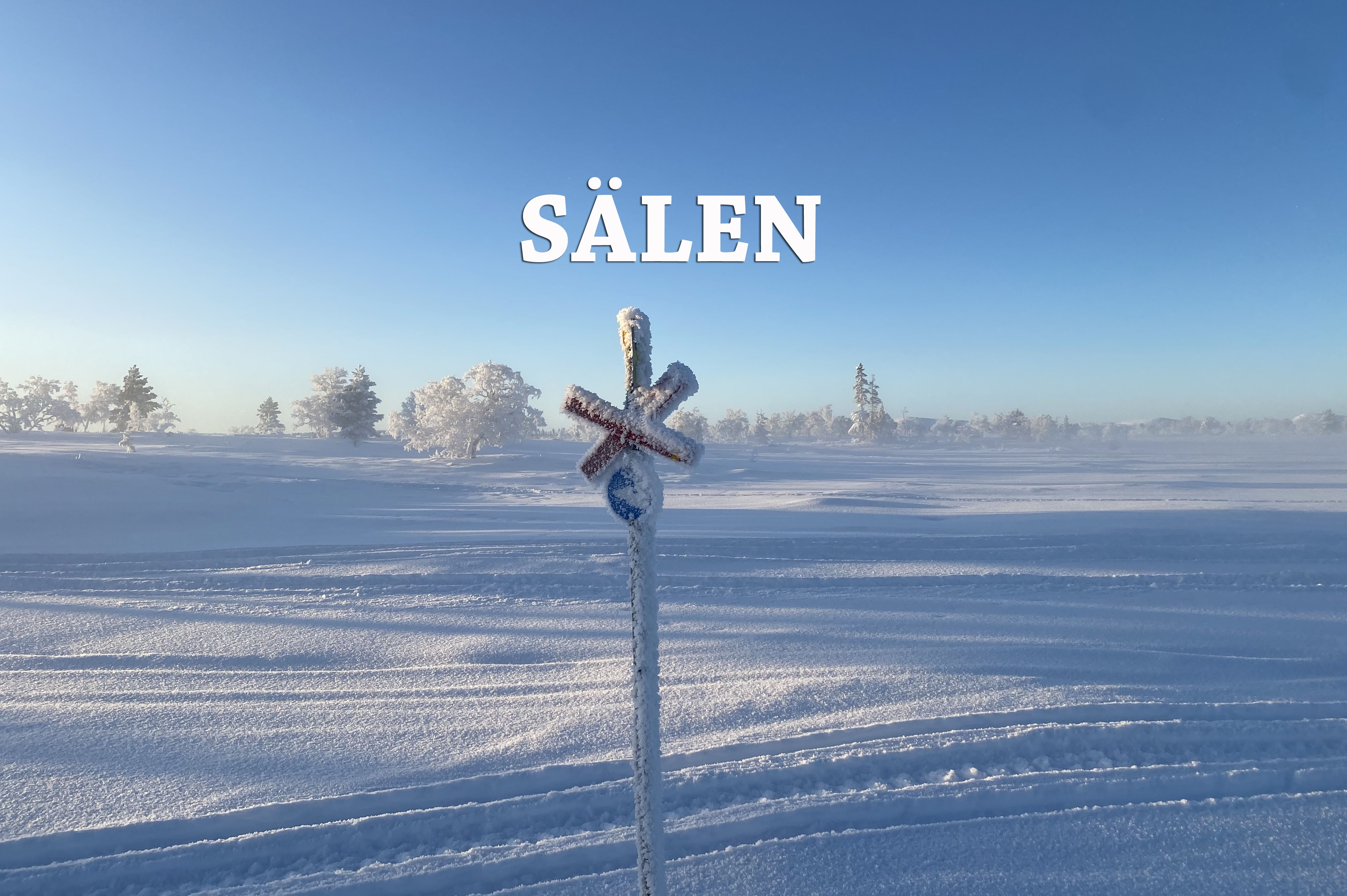 SÄLEN  Förarbevis snöskoter  Teori 27/2-27 & Praktik/prov 13/3-27