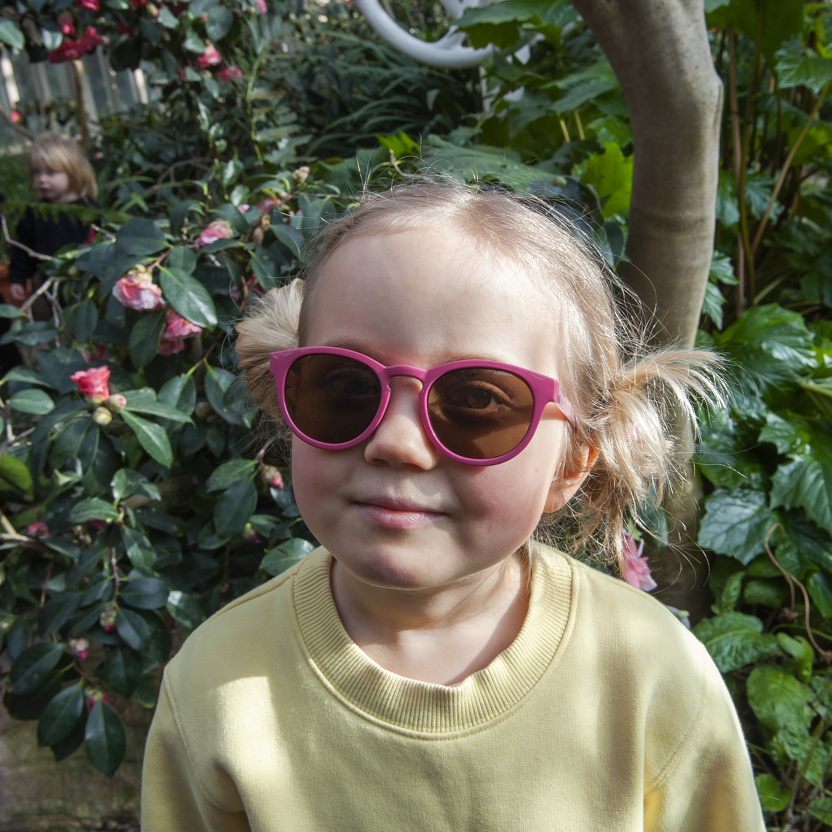 Cerise (art. 1609) - 2