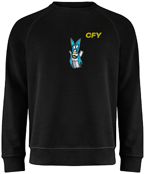 Superheros Collection - Own Collection Raglan Sweatshirt Dam (CFY)