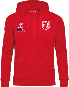 MERCH hmlGO 2.0 CHEVRON ZIP HOODIE Jr (H65)