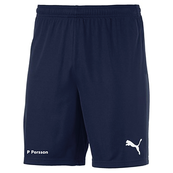 Puma Teamgoal 23 Knit Shorts (Janstorps AIF)