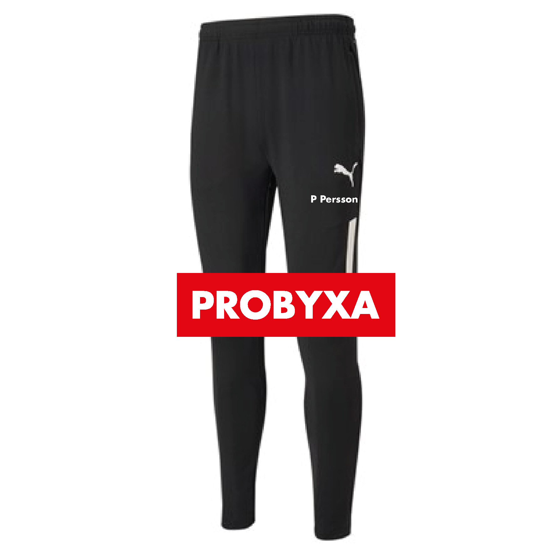 Puma Teamliga Training Pants Pro Jr (RS)