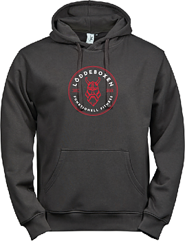 Power Hoodie USX (LÖDDEBOXEN)