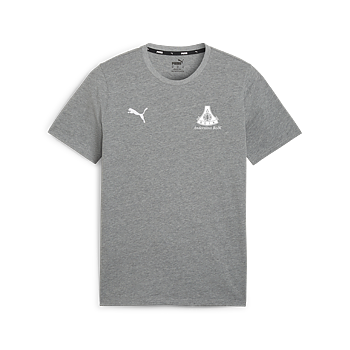 Puma Teamgoal Casuals Tee Herr (Anderslövs BoIK)