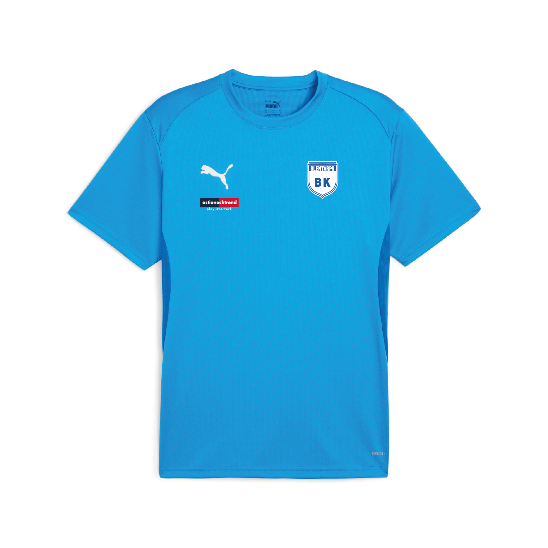 Puma Teamgoal Jersey Jr Jersey (Blentarp)