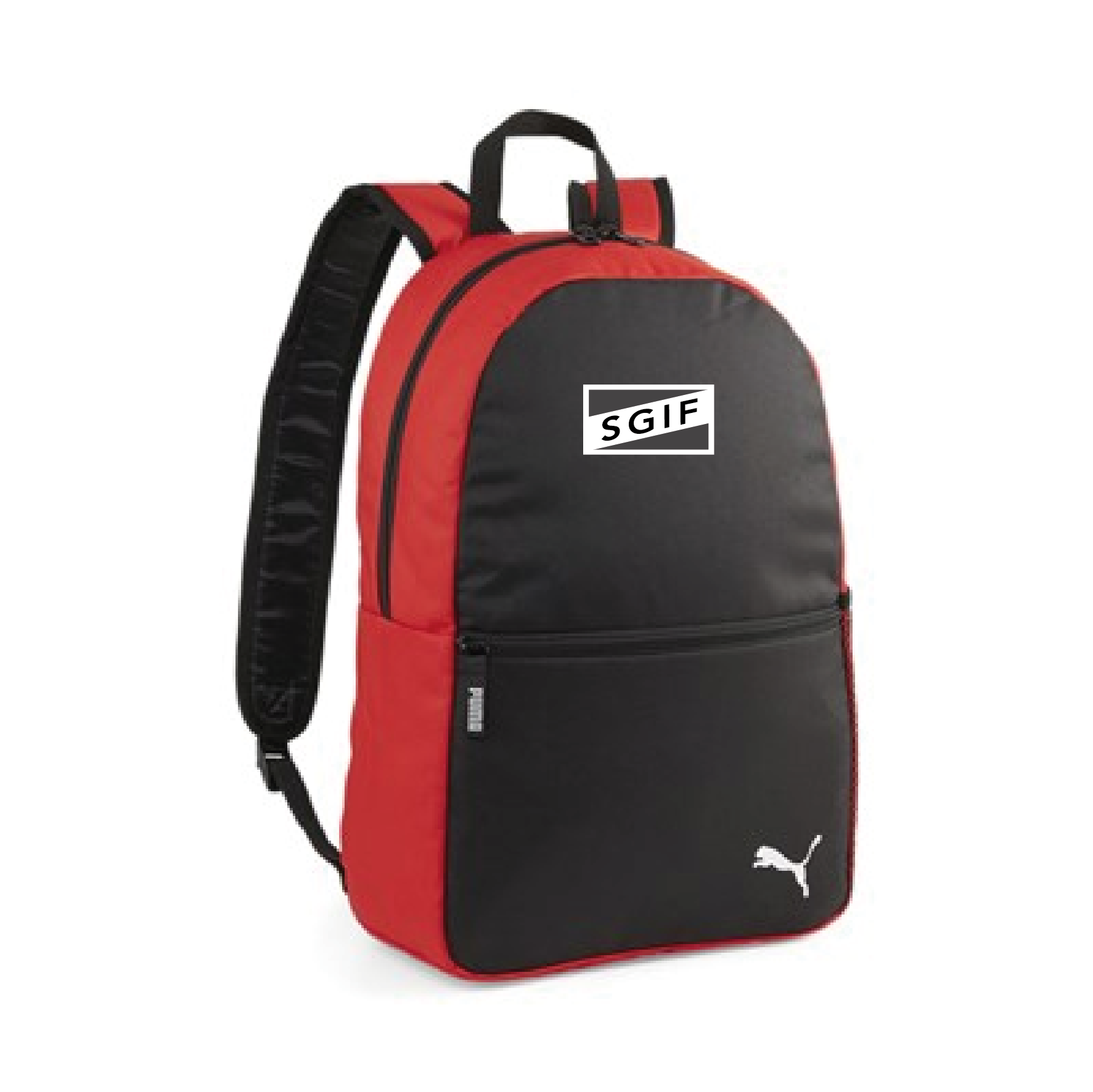 Puma Teamgoal Backpack Core (Skivarps GIF)