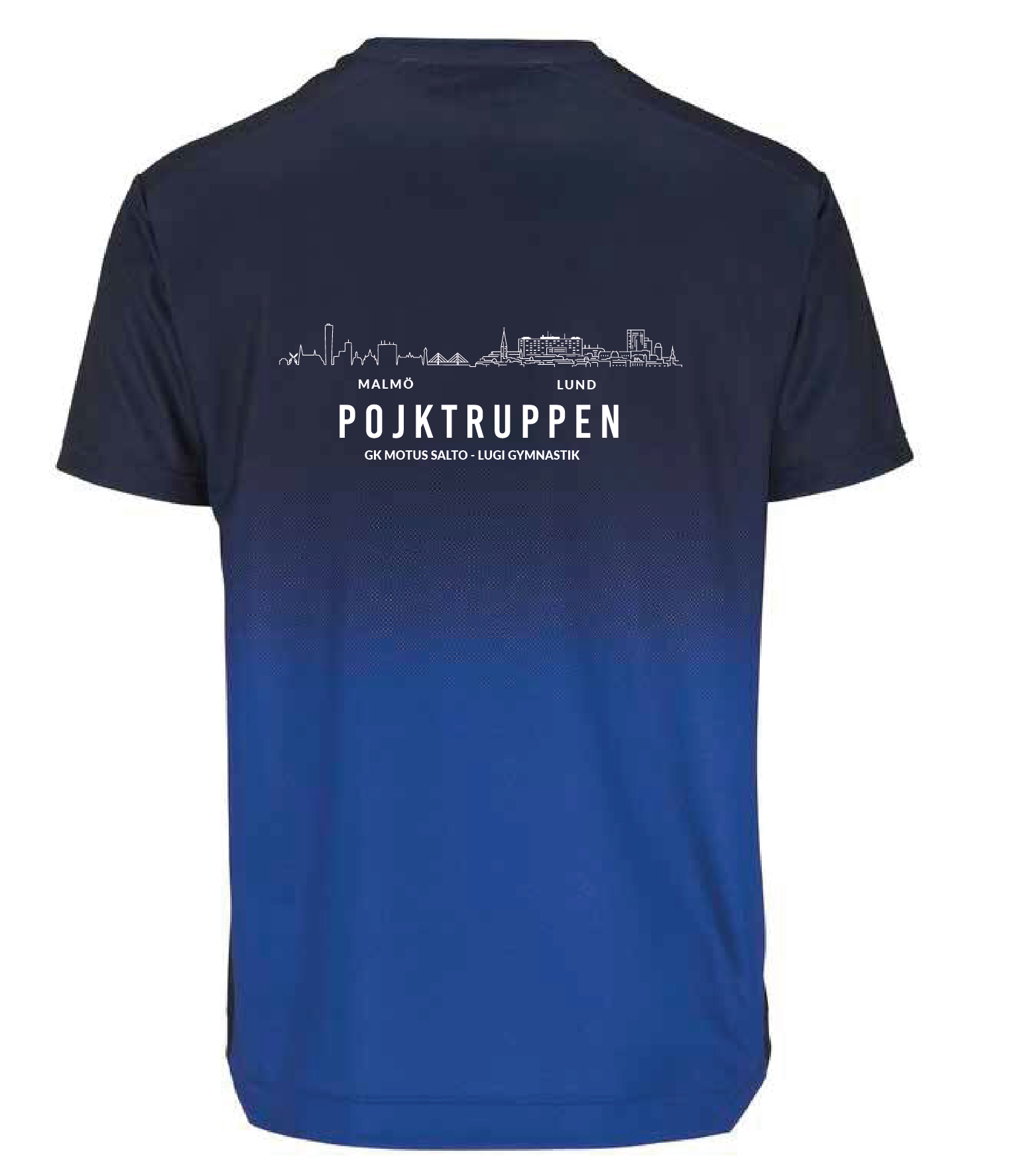 Evolve 2.0 Structured Graphic Jersey Herr (Pojkgruppen Motus Lugi) - 2