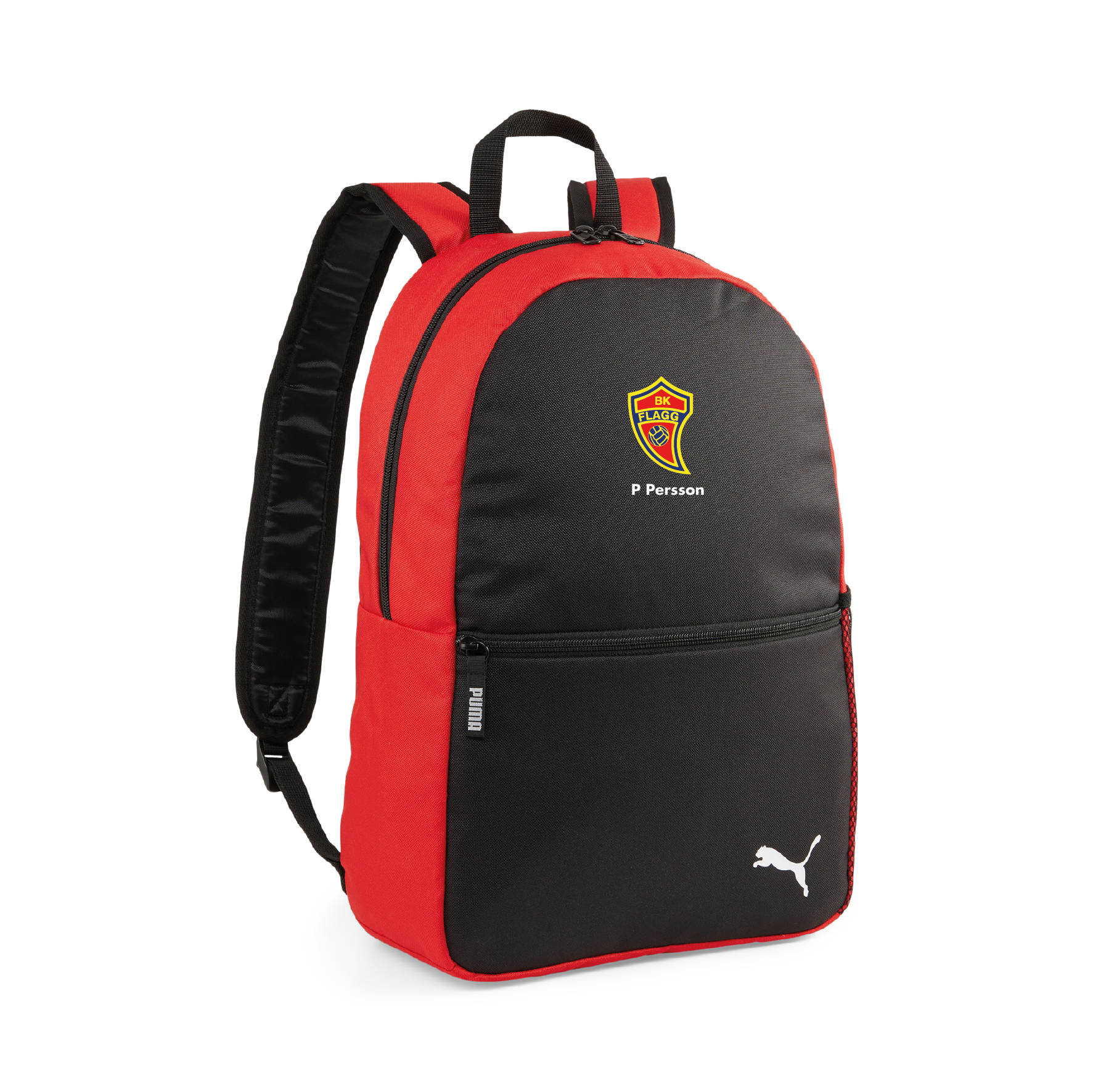 Puma Teamgoal Backpack Core (BK Flagg)