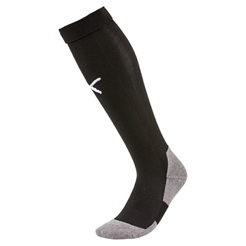 Puma teamLiga Core Socks (BK Flagg)