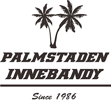 Palmstaden Innebandy