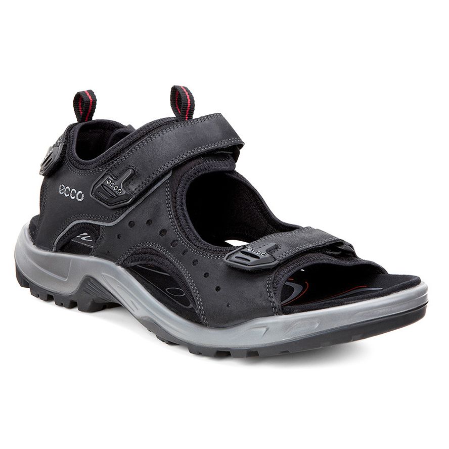 Ecco Andes Ii M Sandal