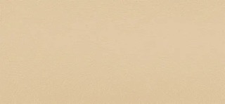 Master Plus,  beige, Mercedes