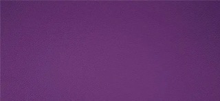 Master Plus violett