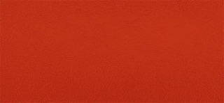 Master Plus  orange