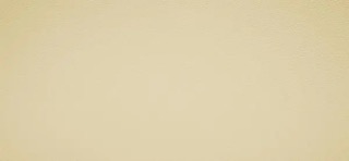 Master Plus  beige