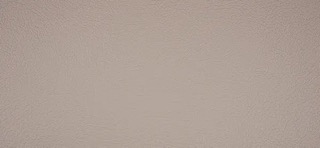 Master Plus, beige