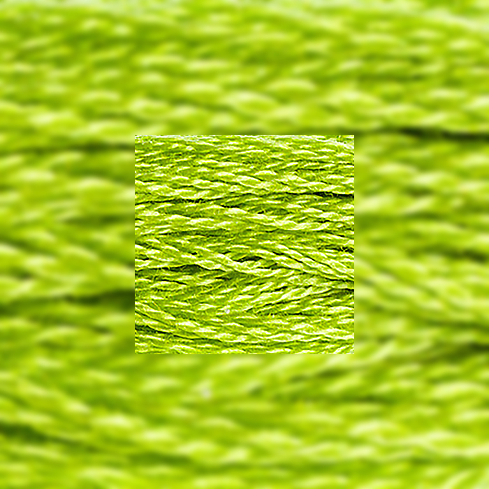 DMC Mouliné art. 117, nr 907