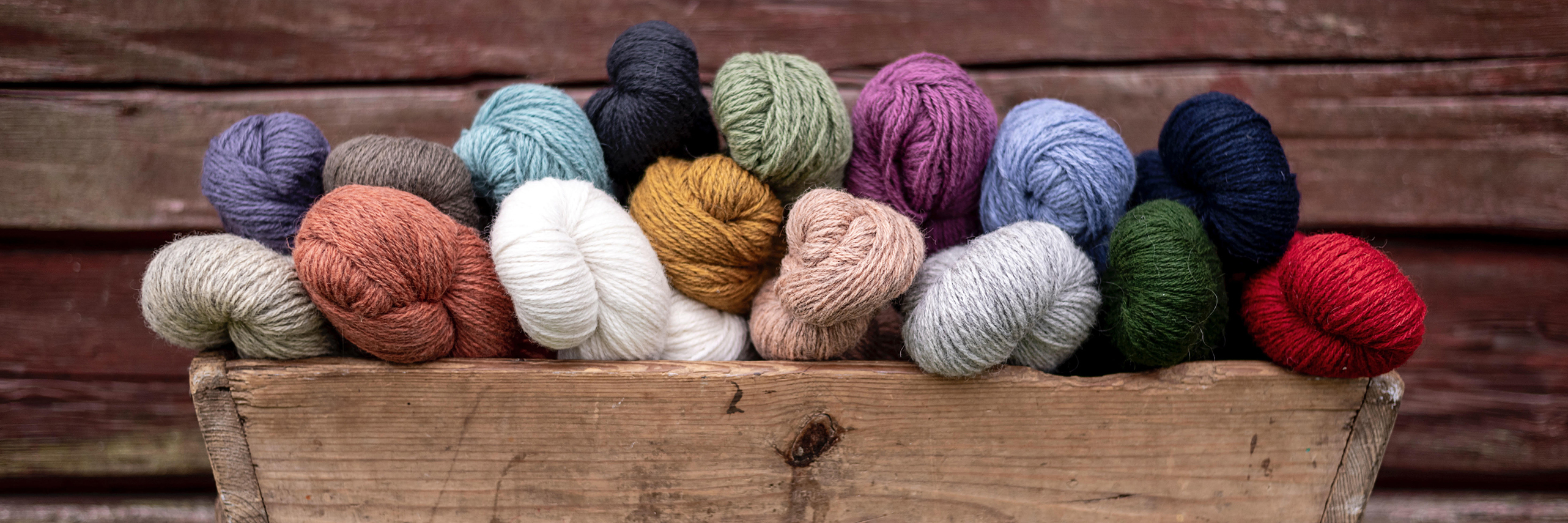 Välkommen till ALEE!  