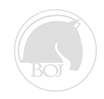 Renoveringssats Plywood Boj Bravo 113-216 
