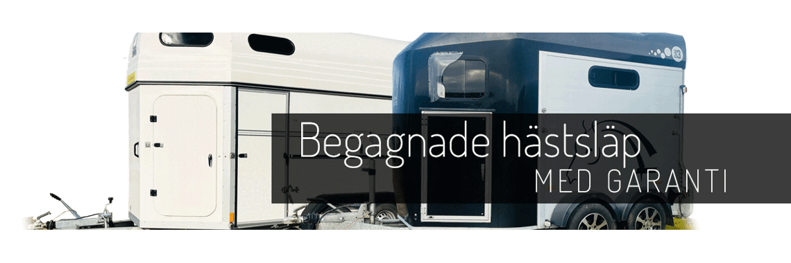 Blankare beg hastslap