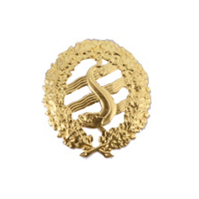 Gold Magistrate Pin