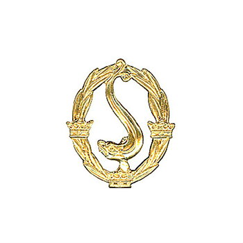The candidate / gold pin