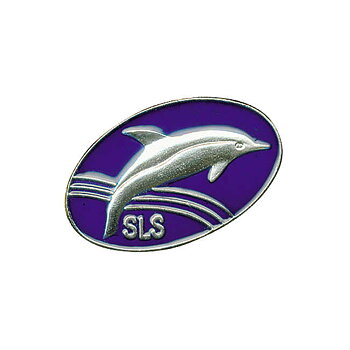 The Silver Dolphin badge