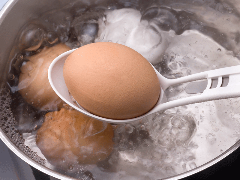Egg de Lux - 4
