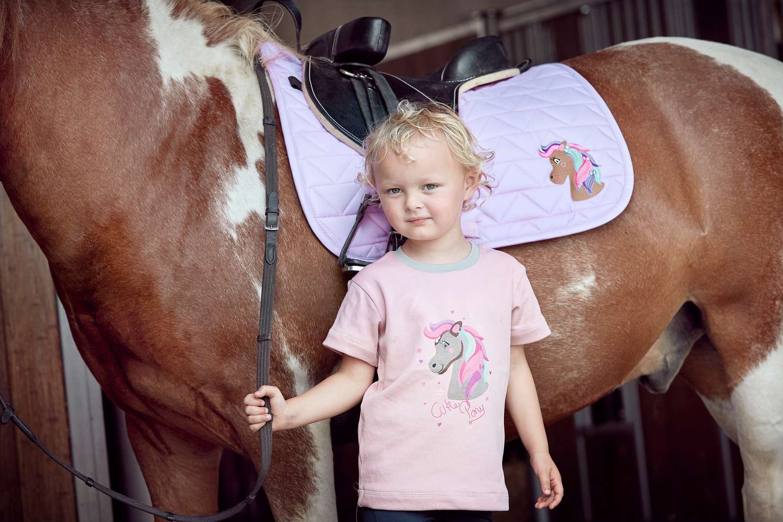 Equipage Finja T-shirt "Misty Rosa" - 4