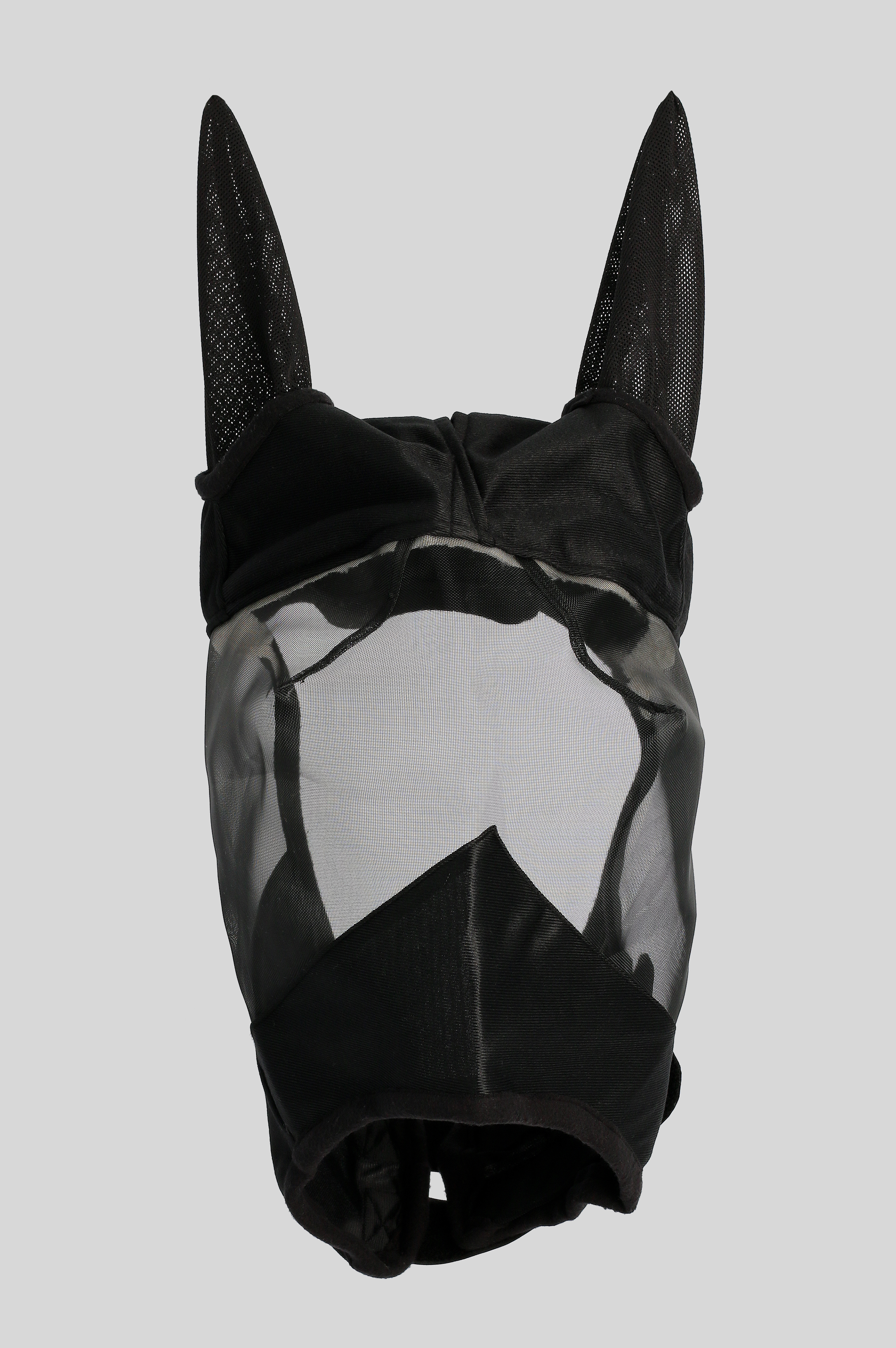 Top Reiter Flughuva