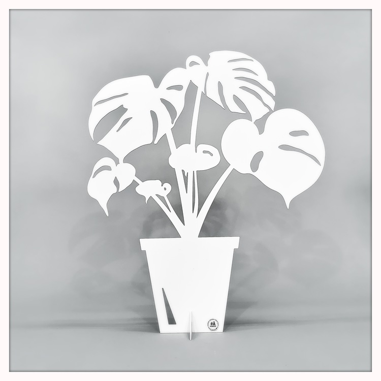 #Älskaplåt Monstera Liten 