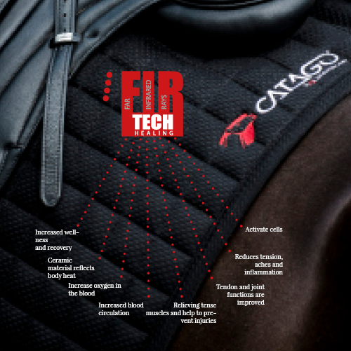 Catago  Fir-Tech