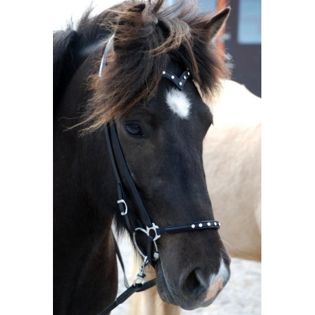 Nordic Horse Huvudlag, Nosgrimmor, Pannband