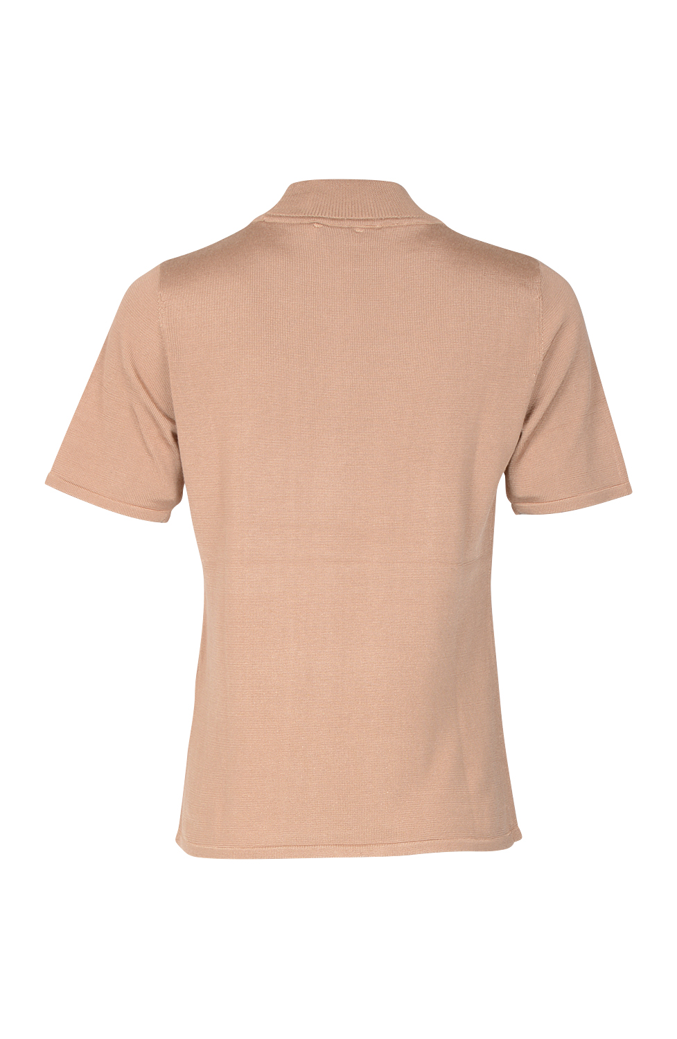 Topp turtle kamel - 3