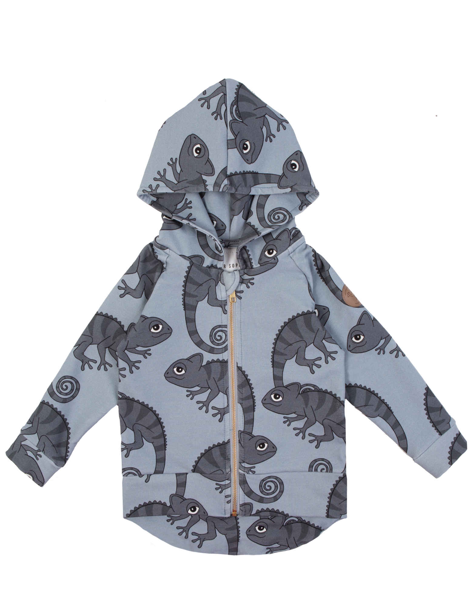 CHAMELEON BLUE HOODIE