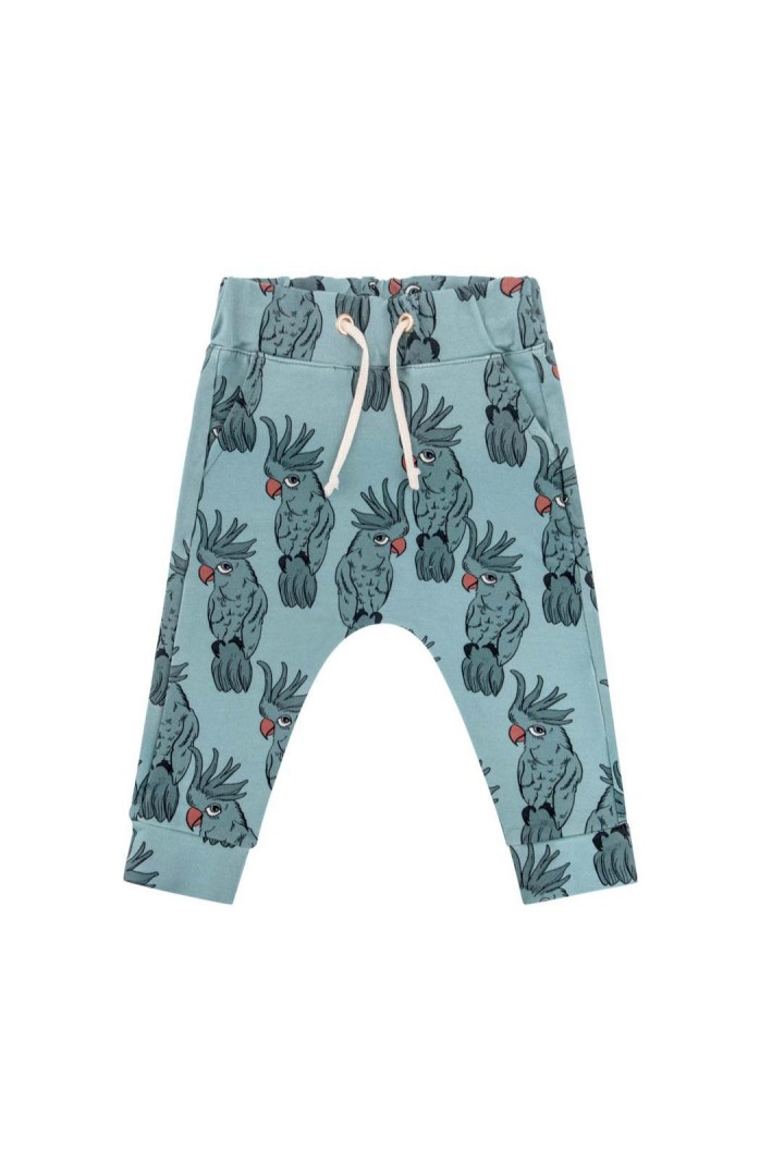  PARROT BLUE PANTS