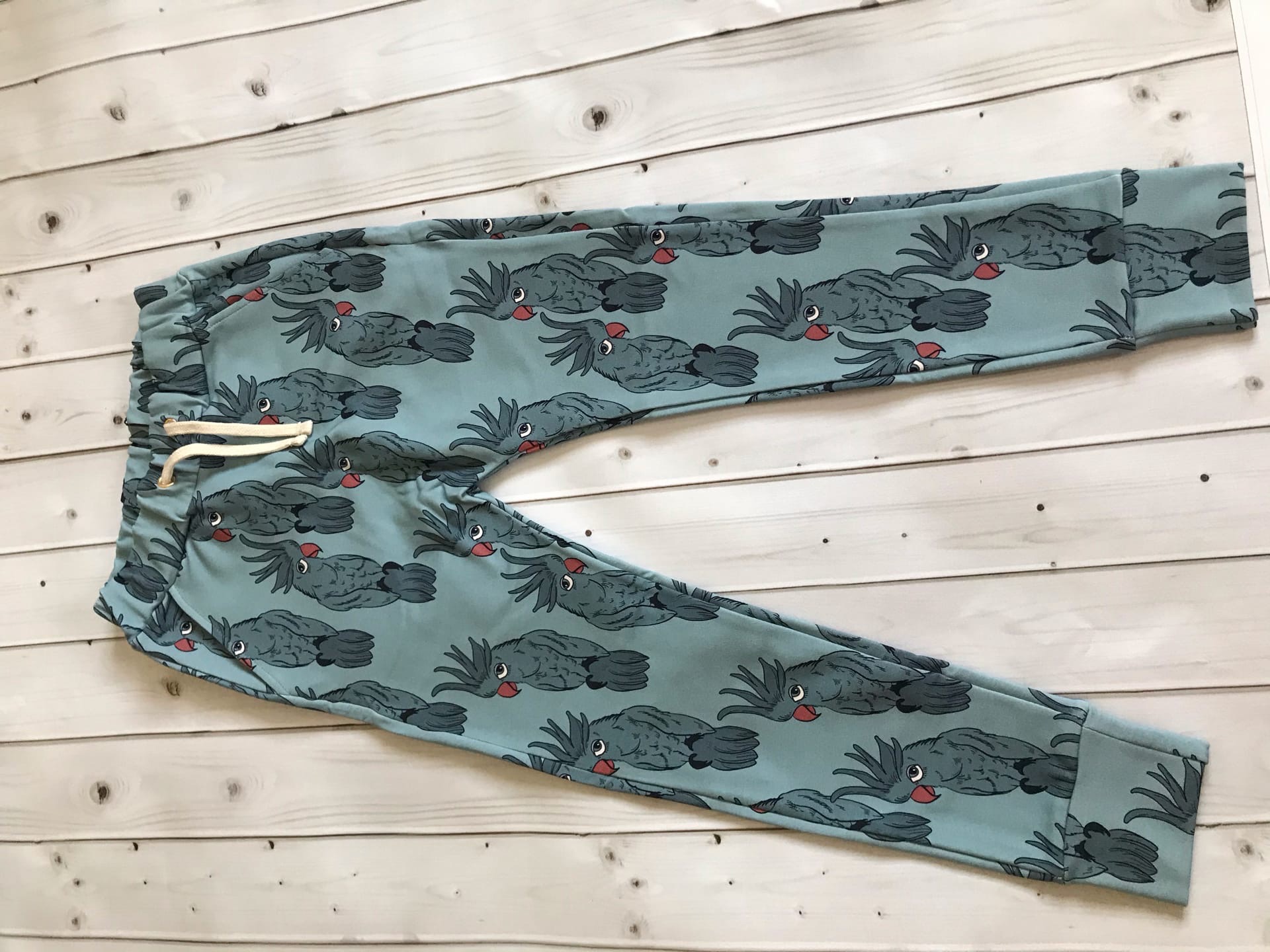  PARROT BLUE PANTS - 3