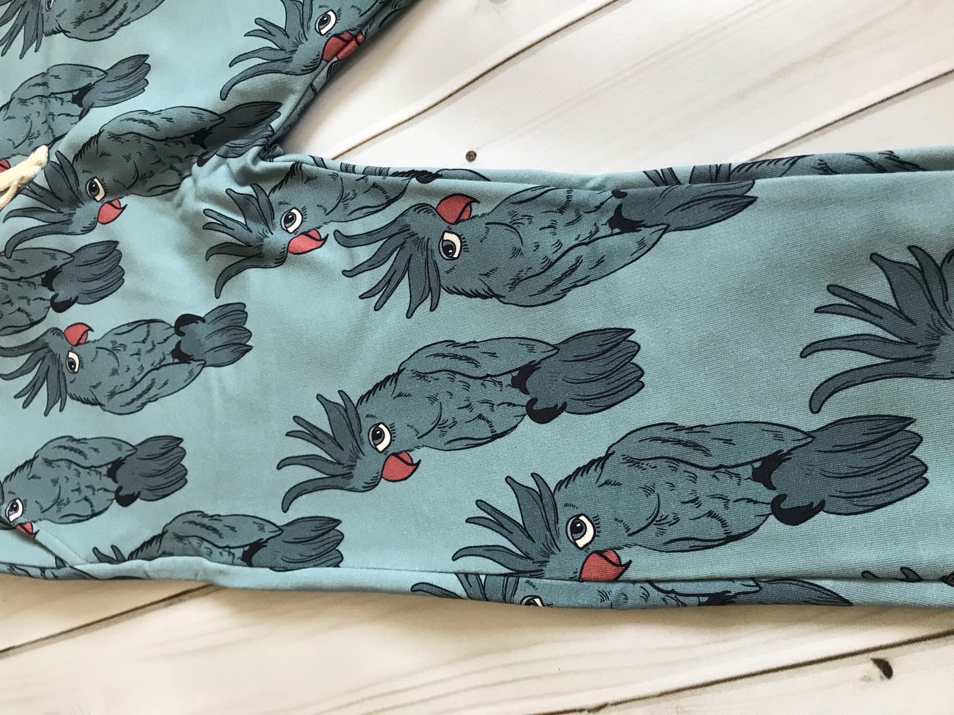  PARROT BLUE PANTS - 2