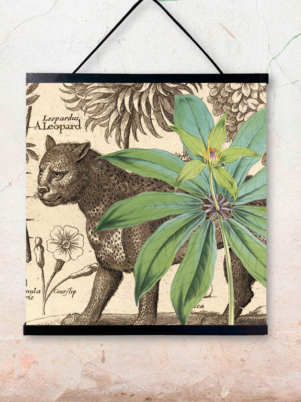 Poster Leopard 50x50 cm