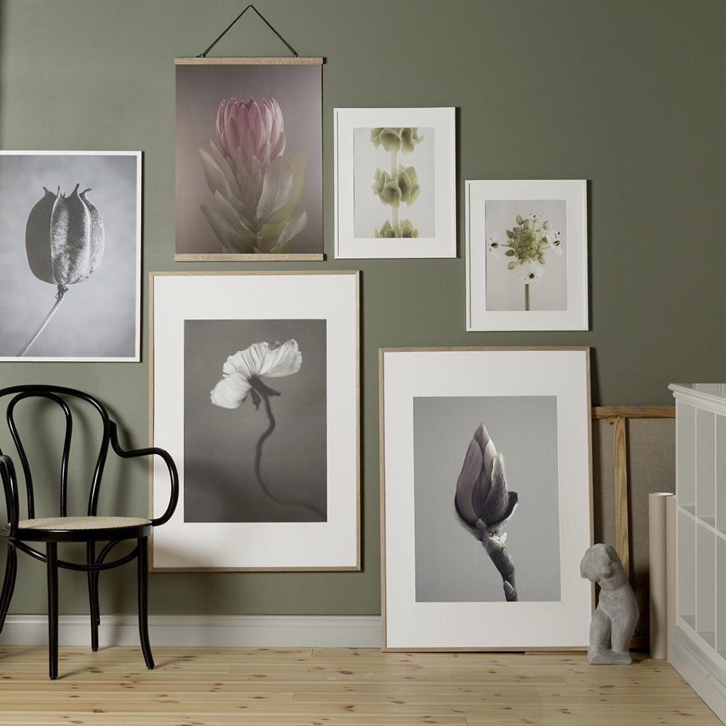 Poster Papaver 50x70 cm - 3