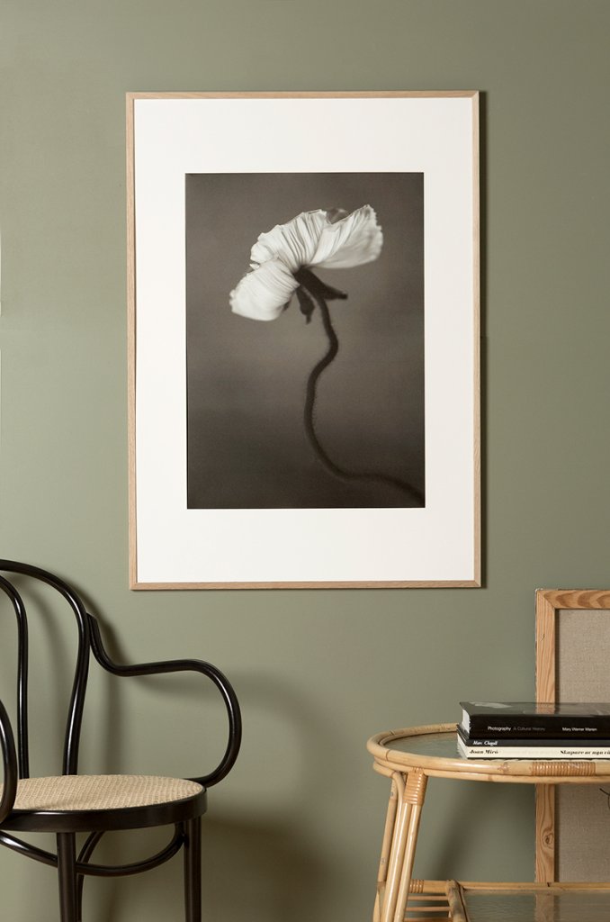 Poster Papaver 50x70 cm