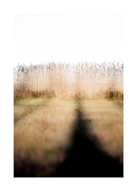 Poster Reed 30x40 cm
